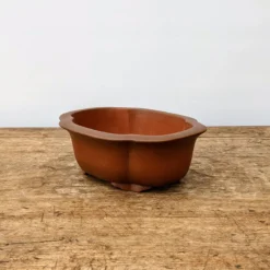 6" Unglazed Yixing Bonsai Pot (No. 1887) 9 6" Unglazed Yixing Bonsai Pot (No. 1887) -Home Decor Items Store PXL 20210901 193931911.NIGHT2 67798.1634477812