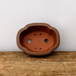 6" Unglazed Yixing Bonsai Pot (No. 1887) 10 6" Unglazed Yixing Bonsai Pot (No. 1887) -Home Decor Items Store PXL 20210901 193940360.NIGHT2 67042.1634477813