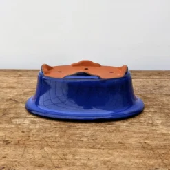 6" Blue Glazed Yixing Bonsai Pot (No. 1888) -Home Decor Items Store PXL 20210901 194437381.NIGHT2 54411.1634478055