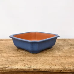 8" Blue Glazed Yixing Bonsai Pot (No. 1919) -Home Decor Items Store PXL 20210902 161740010.NIGHT2 84260.1635022759