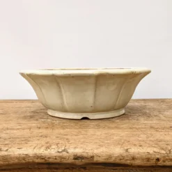 9" Cream Glazed Yixing Bonsai Pot (No. 1939) 10 9" Cream Glazed Yixing Bonsai Pot (No. 1939) -Home Decor Items Store PXL 20210902 195734341.NIGHT2 48670.1635108475 1
