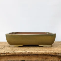 15" Glazed Yixing Bonsai Pot (No. 1860g)