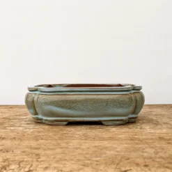 6" Glazed Yixing Bonsai Pot (No. 1942) 8 6" Glazed Yixing Bonsai Pot (No. 1942) -Home Decor Items Store PXL 20210902 202114897.NIGHT2 77438.1635107941