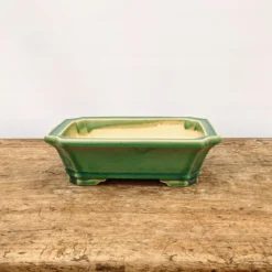7" Green Glazed Yixing Bonsai Pot (No. 1736) -Home Decor Items Store PXL 20210903 154027226.NIGHT2 32376.1640639214