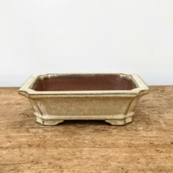 7" Glazed Yixing Bonsai Pot (No. 1736) -Home Decor Items Store PXL 20210903 154648439.NIGHT2 43754.1643305241