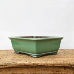 12" Green Glazed Yixing Bonsai Pot (No. 1954)