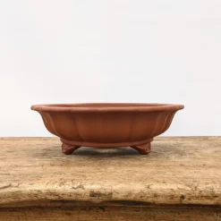 10" Unglazed Yixing Bonsai Pot (No. 933) -Home Decor Items Store PXL 20210907 162516707.NIGHT2 26051.1631718728 1