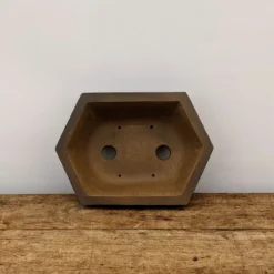 6" Unglazed Bonsai Pot (No. 1787) 11 6" Unglazed Bonsai Pot (No. 1787) -Home Decor Items Store PXL 20210907 164828383.NIGHT2 31210.1631659163