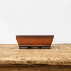 6" Unglazed Bonsai Pot (No. 1799) -Home Decor Items Store PXL 20210907 172041118.NIGHT2 76016.1637696304