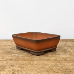 6" Unglazed Bonsai Pot (No. 1799) -Home Decor Items Store PXL 20210907 172059321.NIGHT2 37750.1637696305
