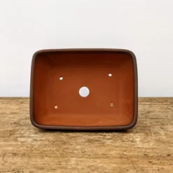 6" Unglazed Bonsai Pot (No. 1799) -Home Decor Items Store PXL 20210907 172108904.NIGHT2 47392.1637696305
