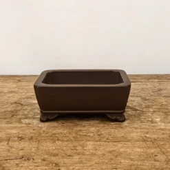 5" Unglazed Yixing Bonsai Pot (No. 927) -Home Decor Items Store PXL 20210908 165833767.NIGHT2 42030.1631384999