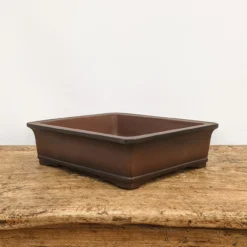 11" Unglazed Yixing Bonsai Pot (No. 1882) -Home Decor Items Store PXL 20211014 163742294.NIGHT2 36209.1636994887