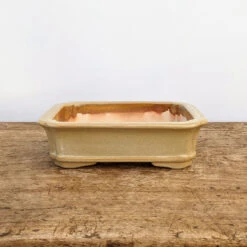 8" Cream Glazed Yixing Bonsai Pot (No. 1436) 9 8" Cream Glazed Yixing Bonsai Pot (No. 1436) -Home Decor Items Store PXL 20211021 185207364.NIGHT2 71139.1637092782