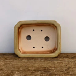 8" Cream Glazed Yixing Bonsai Pot (No. 1436) 10 8" Cream Glazed Yixing Bonsai Pot (No. 1436) -Home Decor Items Store PXL 20211021 185228374.NIGHT2 87378.1637092776