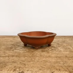 6" Unglazed Yixing Bonsai Pot (No. 1900) 10 6" Unglazed Yixing Bonsai Pot (No. 1900) -Home Decor Items Store PXL 20211022 153511318.NIGHT2 40315.1637095227 1