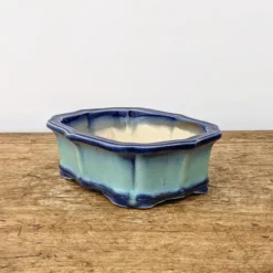 7" Blue Glazed Yixing Bonsai Pot (No. 1903) -Home Decor Items Store PXL 20211022 181416715.NIGHT2 22755.1637351147