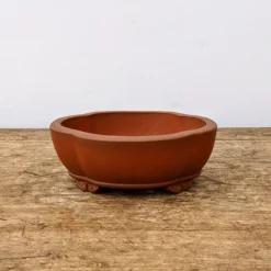 5" Unglazed Yixing Bonsai Pot (No. 1962) -Home Decor Items Store PXL 20211027 171939486.NIGHT2 83280.1635691304