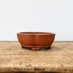 5" Unglazed Yixing Bonsai Pot (No. 1962)