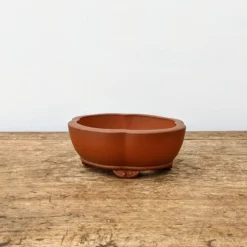 5" Unglazed Yixing Bonsai Pot (No. 1962) -Home Decor Items Store PXL 20211027 171953353.NIGHT2 26657.1635691304
