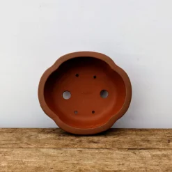 5" Unglazed Yixing Bonsai Pot (No. 1962) -Home Decor Items Store PXL 20211027 172001085.NIGHT2 66412.1635691309