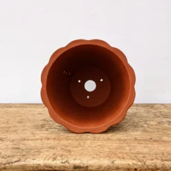 8" Unglazed Cascade Yixing Bonsai Pot (No. 1959) 8 8" Unglazed Cascade Yixing Bonsai Pot (No. 1959) -Home Decor Items Store PXL 20211027 173105330.NIGHT2 56269.1635690419