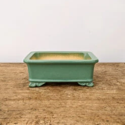 7" Green Glazed Yixing Bonsai Pot (No. 1975d) 8 7" Green Glazed Yixing Bonsai Pot (No. 1975d) -Home Decor Items Store PXL 20211102 171646276.NIGHT2 48763.1636393553