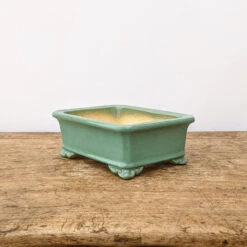 7" Green Glazed Yixing Bonsai Pot (No. 1975d) 9 7" Green Glazed Yixing Bonsai Pot (No. 1975d) -Home Decor Items Store PXL 20211102 171702806.NIGHT2 85809.1636393553