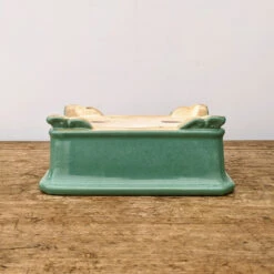 7" Green Glazed Yixing Bonsai Pot (No. 1975d) 11 7" Green Glazed Yixing Bonsai Pot (No. 1975d) -Home Decor Items Store PXL 20211102 171725139.NIGHT2 97004.1636393553