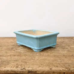 7" Blue Glazed Yixing Bonsai Pot (No. 1974) 9 7" Blue Glazed Yixing Bonsai Pot (No. 1974) -Home Decor Items Store PXL 20211102 171809710.NIGHT2 23877.1636392809