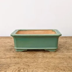 7" Green Glazed Yixing Bonsai Pot (No. 1974) -Home Decor Items Store PXL 20211102 171901781.NIGHT2 67643.1636392942