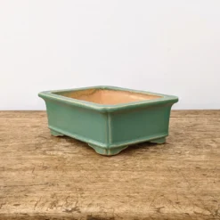 7" Green Glazed Yixing Bonsai Pot (No. 1974) -Home Decor Items Store PXL 20211102 171914184.NIGHT2 82983.1636392937