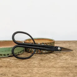 Tinyroots Ultimate Package - Carbon Steel Tool Kit 8 Tinyroots Ultimate Package - Carbon Steel Tool Kit -Home Decor Items Store PXL 20211130 1853384062 60180.1639196703