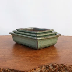 6-9" Green Glazed Japanese Rectangle Bonsai Pot (No. 293) -Home Decor Items Store PXL 20220120 195430883.NIGHT2 39777.1644341779