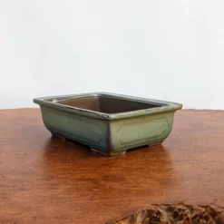 6-9" Green Glazed Japanese Rectangle Bonsai Pot (No. 293) -Home Decor Items Store PXL 20220120 195621859.NIGHT2 31688.1644341779