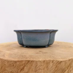 7" Glazed Yixing Bonsai Pot (No. 862) -Home Decor Items Store PXL 20220608 155932921.NIGHT3 86656.1655915488