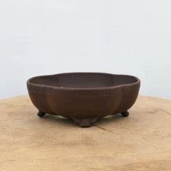 7" Unglazed Yixing Bonsai Pot (No. 878) -Home Decor Items Store PXL 20220608 180638073.NIGHT2 08498.1654715906