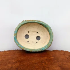 9" Terre O Vert Handmade Planter (No. 38) -Home Decor Items Store PXL 20220622 193653651.NIGHT2 36369.1659550844