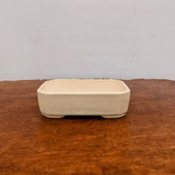 5-Inch Glazed Yixing Bonsai Or Succulent Pot (No. 2020) 9 5-Inch Glazed Yixing Bonsai Or Succulent Pot (No. 2020) -Home Decor Items Store PXL 20220822 195815264.NIGHT2 54526.1667405494