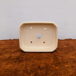 5-Inch Glazed Yixing Bonsai Or Succulent Pot (No. 2020) 8 5-Inch Glazed Yixing Bonsai Or Succulent Pot (No. 2020) -Home Decor Items Store PXL 20220822 195831979.NIGHT2 25046.1667405493