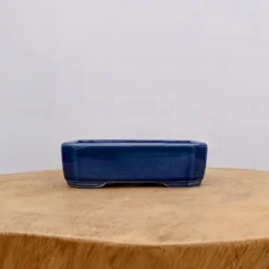 5-Inch Dark Blue Glazed Yixing Bonsai Or Succulent Pot (No. 2024) -Home Decor Items Store PXL 20220822 200026746.NIGHT2 55943.1667405932 1