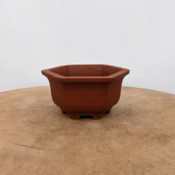 5" Unglazed Yixing Bonsai Pot (No. 2391a) -Home Decor Items Store PXL 20221019 192222264.NIGHT2 32365.1666635911