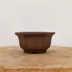 5" Unglazed Yixing Bonsai Pot (No. 2391c) 11 5" Unglazed Yixing Bonsai Pot (No. 2391c) -Home Decor Items Store PXL 20221019 193250442.NIGHT2 53851.1666636098 1