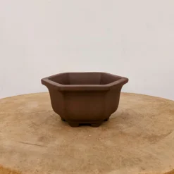 5" Unglazed Yixing Bonsai Pot (No. 2391c) 8 5" Unglazed Yixing Bonsai Pot (No. 2391c) -Home Decor Items Store PXL 20221019 193254366.NIGHT2 07473.1666636092