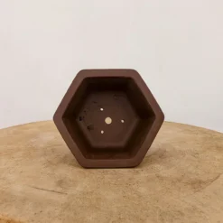 5" Unglazed Yixing Bonsai Pot (No. 2391c) 9 5" Unglazed Yixing Bonsai Pot (No. 2391c) -Home Decor Items Store PXL 20221019 193309199.NIGHT2 40394.1666636096