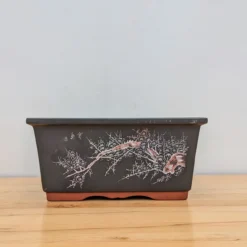 14" Etched Yixing Bonsai Pot (No. 2176) -Home Decor Items Store PXL 20230630 183432454.NIGHT 54239.1688222891