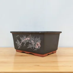14" Etched Yixing Bonsai Pot (No. 2176) -Home Decor Items Store PXL 20230630 183442338.NIGHT 60617.1688222917