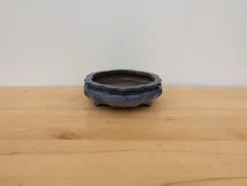 10-Inch Glazed Yixing Bonsai Pot (No. 2317b) -Home Decor Items Store PXL 20230822 175413209 81954.1692730209