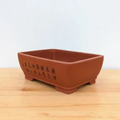 13" Etched Yixing Bonsai Pot (No. 2188) 9 13" Etched Yixing Bonsai Pot (No. 2188) -Home Decor Items Store PXL 20230822 175713284 35958.1692805974