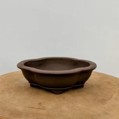 8-Inch Unglazed Yixing Bonsai Pot (No. 2454) -Home Decor Items Store PXL 20230822 1800289632 42216.1692806214
